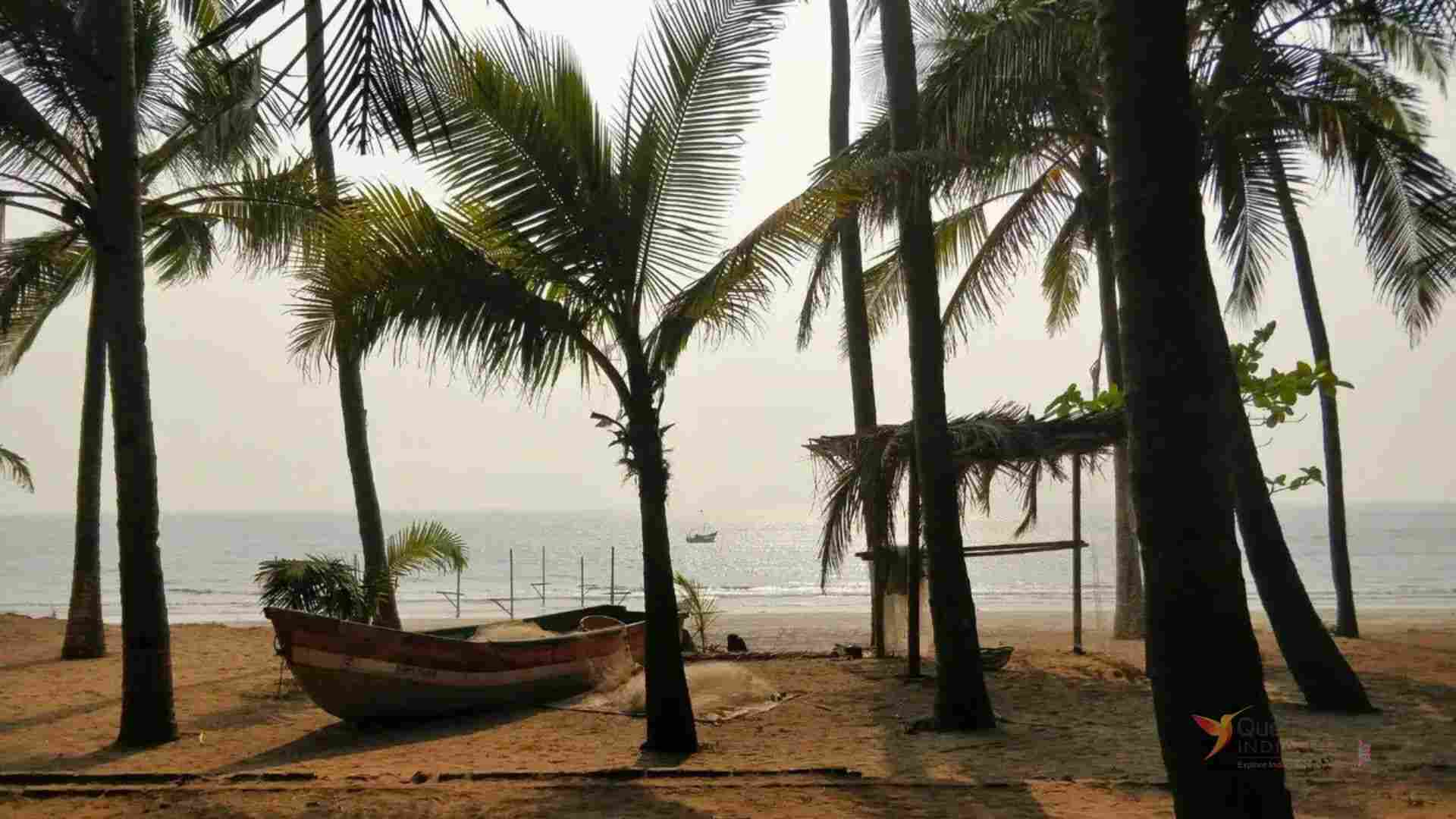 Alibaug coastline with sandy beaches and palm trees