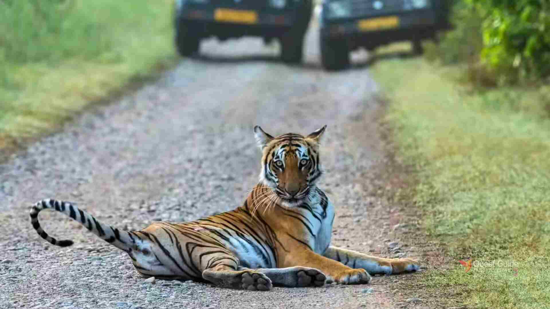 Bandhavgarh National Park, Madhya Pradesh - Tiger Reserve Landscape