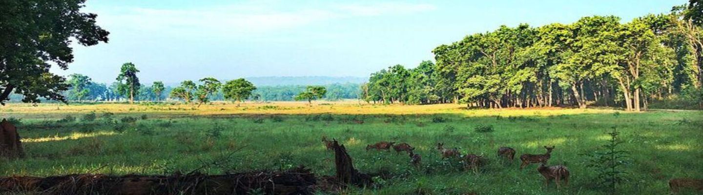 Scenic landscape of Kanha meadows and forests