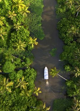 Kerala backwaters houseboats