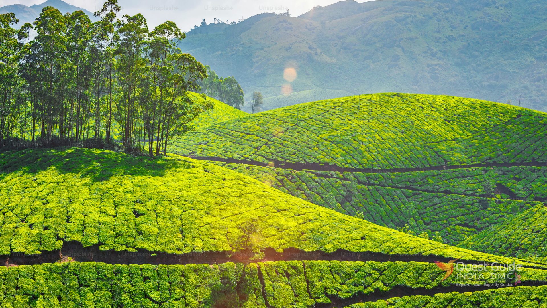 North to Central India Tours