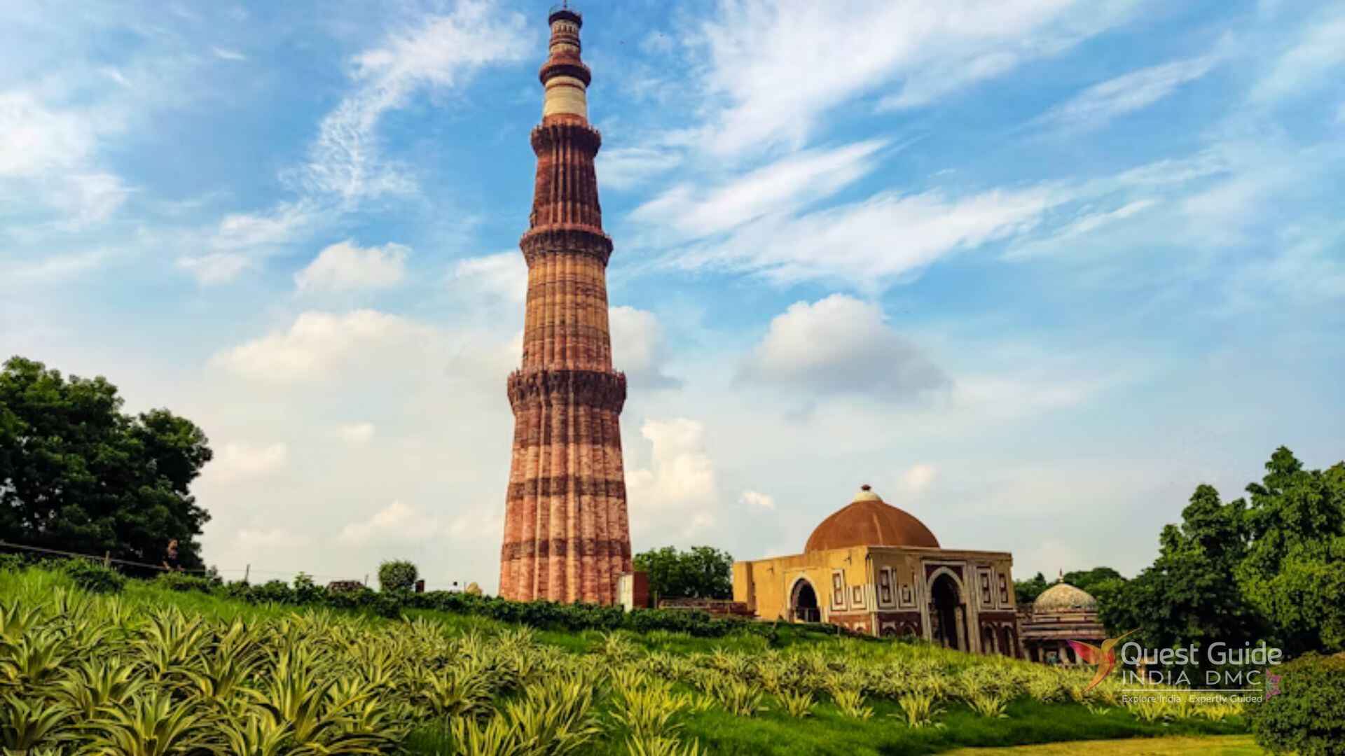 North India Wildlife